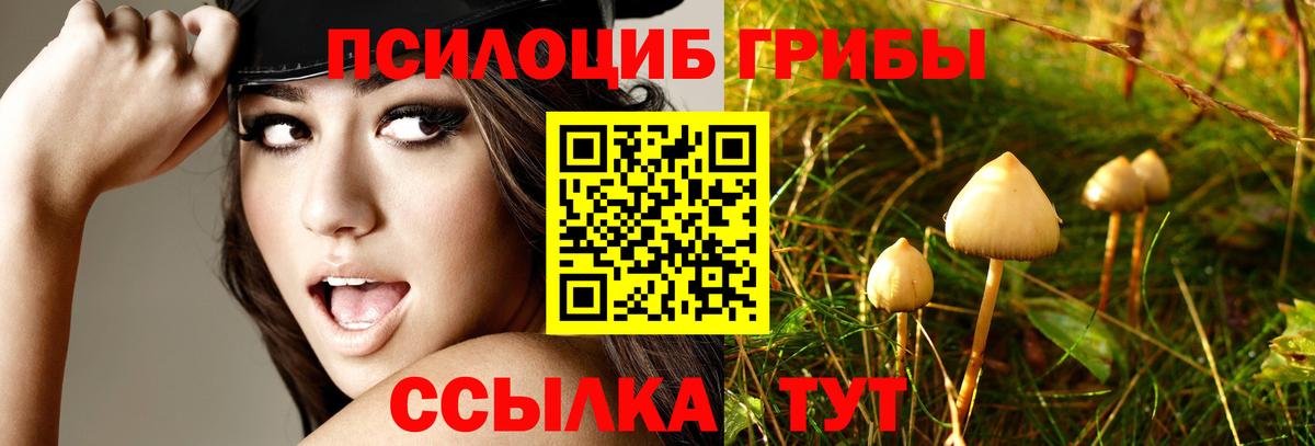 Галлюциногенные грибы прущие грибы Мыски